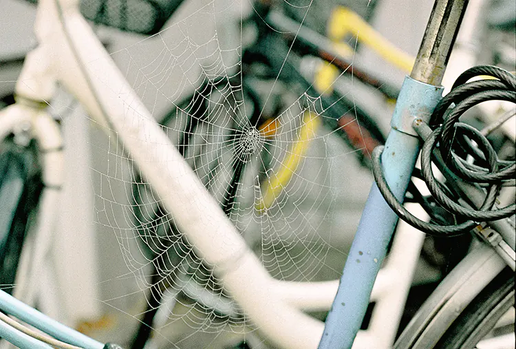 motorhome-rv-spiderwebs-remove