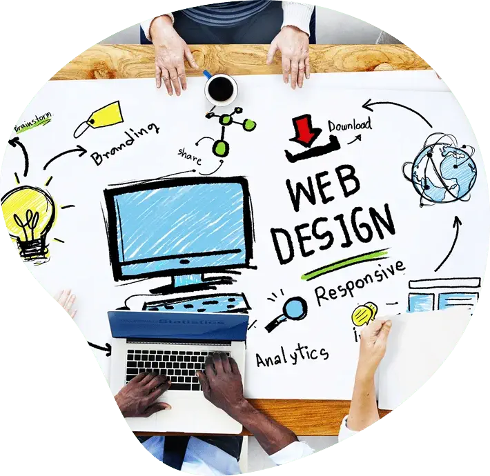 Website Design Sunshine Coast