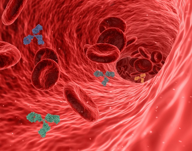 Peripheral Vascular Disease